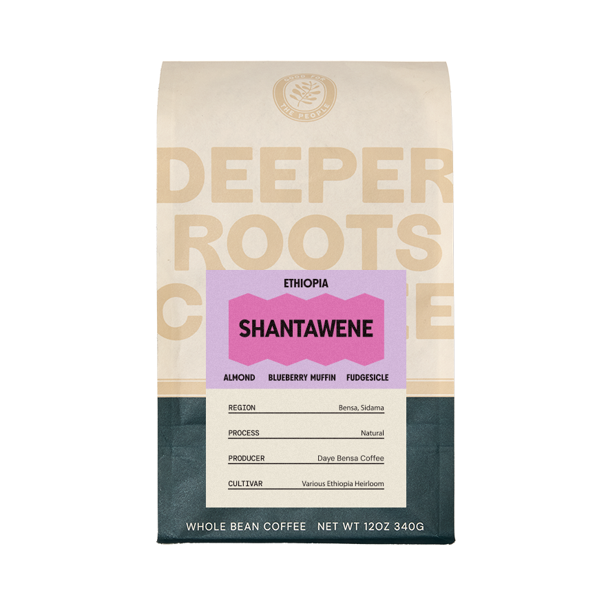 Ethiopia Shantawene 12 oz - Fresh-Roasted Coffee for Daily Brewing