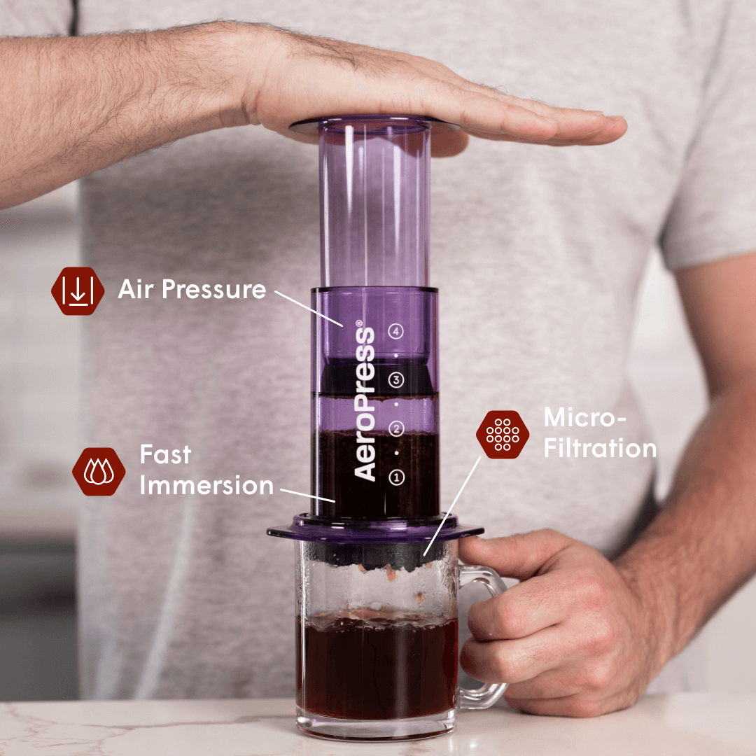 Recipe Bundle - Clear - Brewing Collection for Coffee Enthusiasts