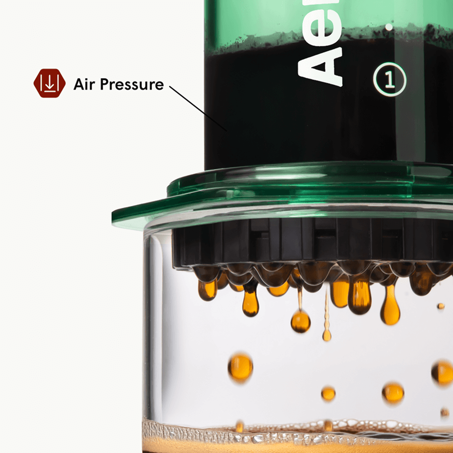 Traveler’s Bundle - Clear - Brewing Collection for Coffee Enthusiasts