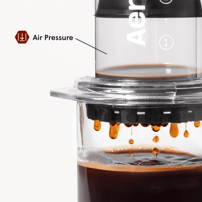Traveler’s Bundle - Clear - Brewing Collection for Coffee Enthusiasts