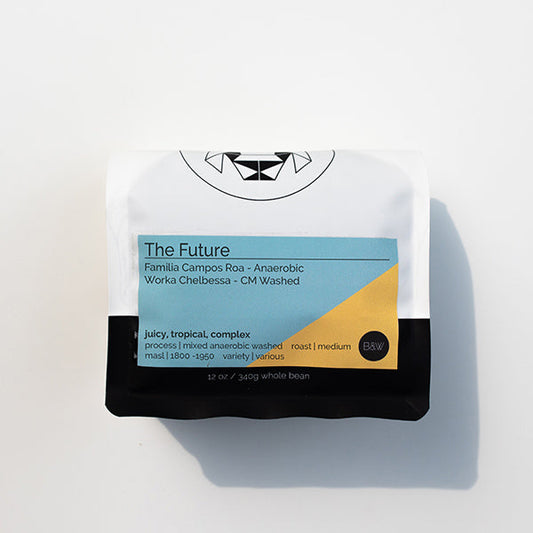 The Future 12 oz - Fresh-Roasted Coffee for Daily Brewing