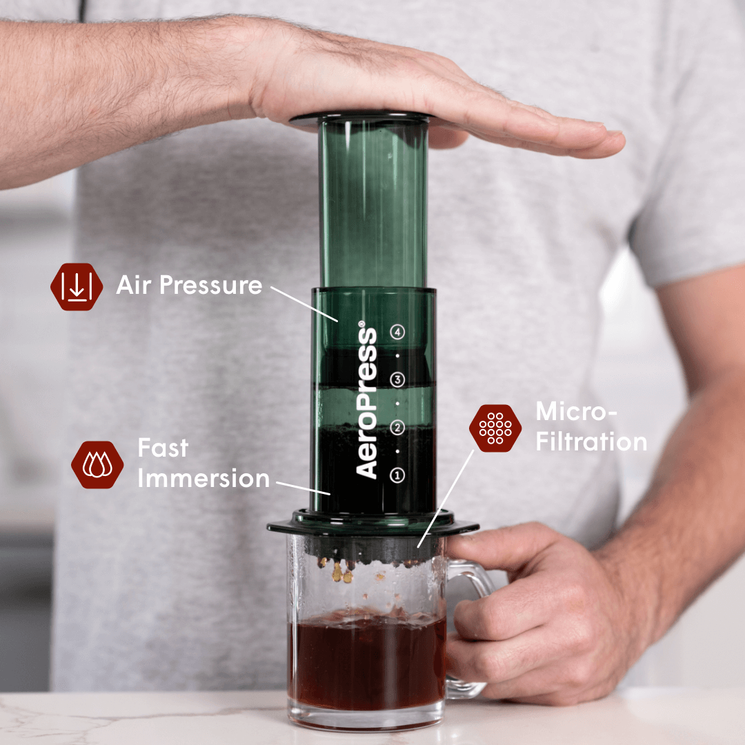 Recipe Bundle - Clear - Brewing Collection for Coffee Enthusiasts