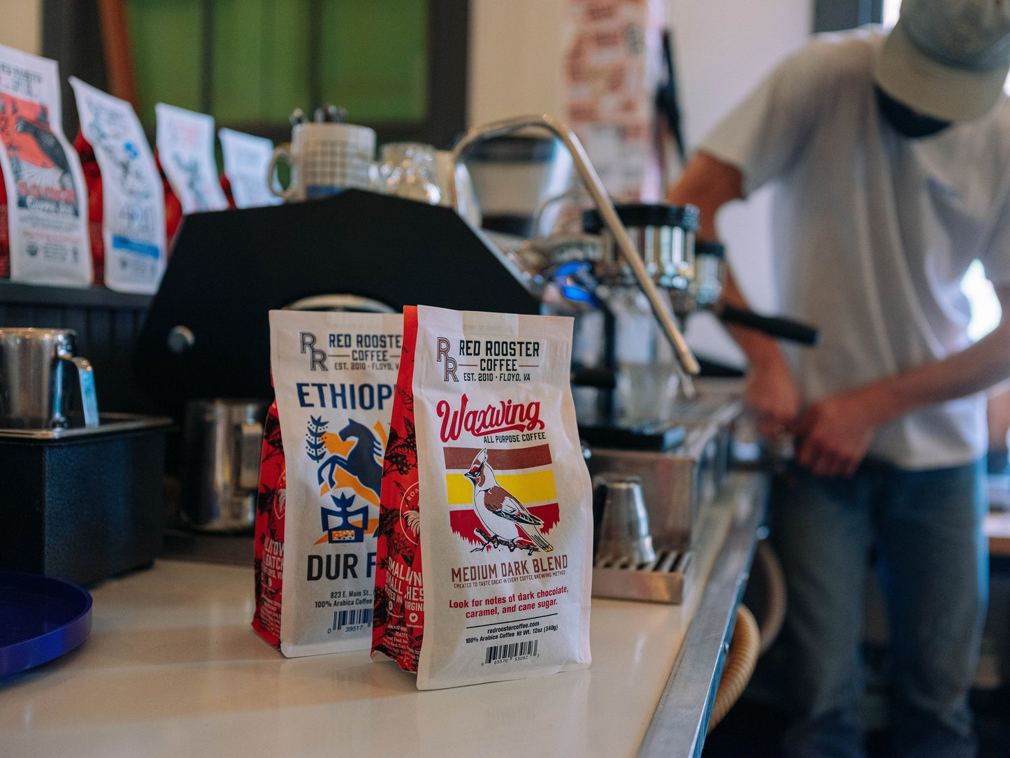 Waxwing All-Purpose Blend - Fresh-Roasted Coffee for Daily Brewing