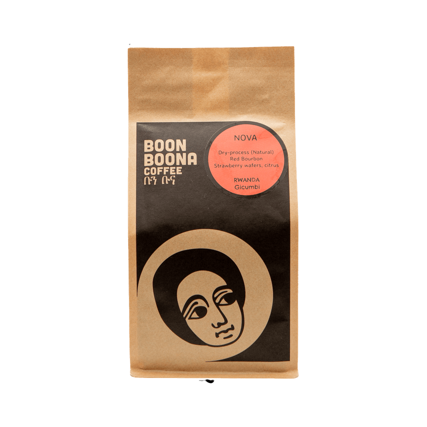 Nova 2 lb - Fresh-Roasted Coffee for Daily Brewing