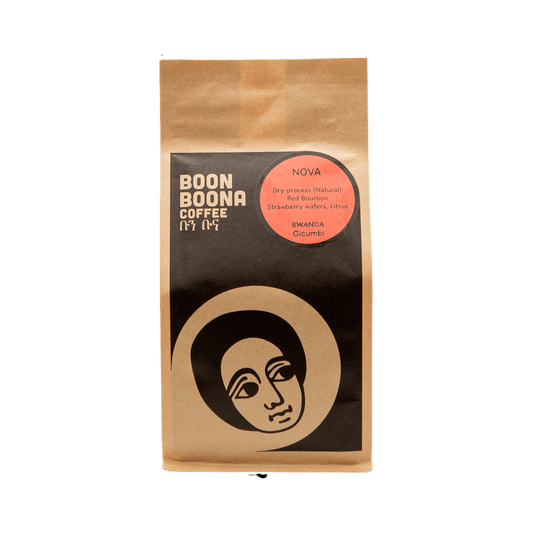 Nova 2 lb - Fresh-Roasted Coffee for Daily Brewing