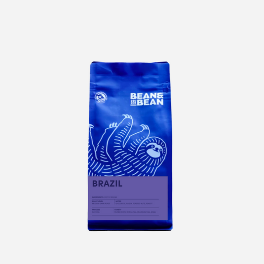 Rio Nights - Fresh-Roasted Coffee for Daily Brewing