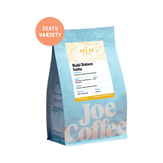 Rubi Sisters Icatu 12 oz - Fresh-Roasted Coffee for Daily Brewing